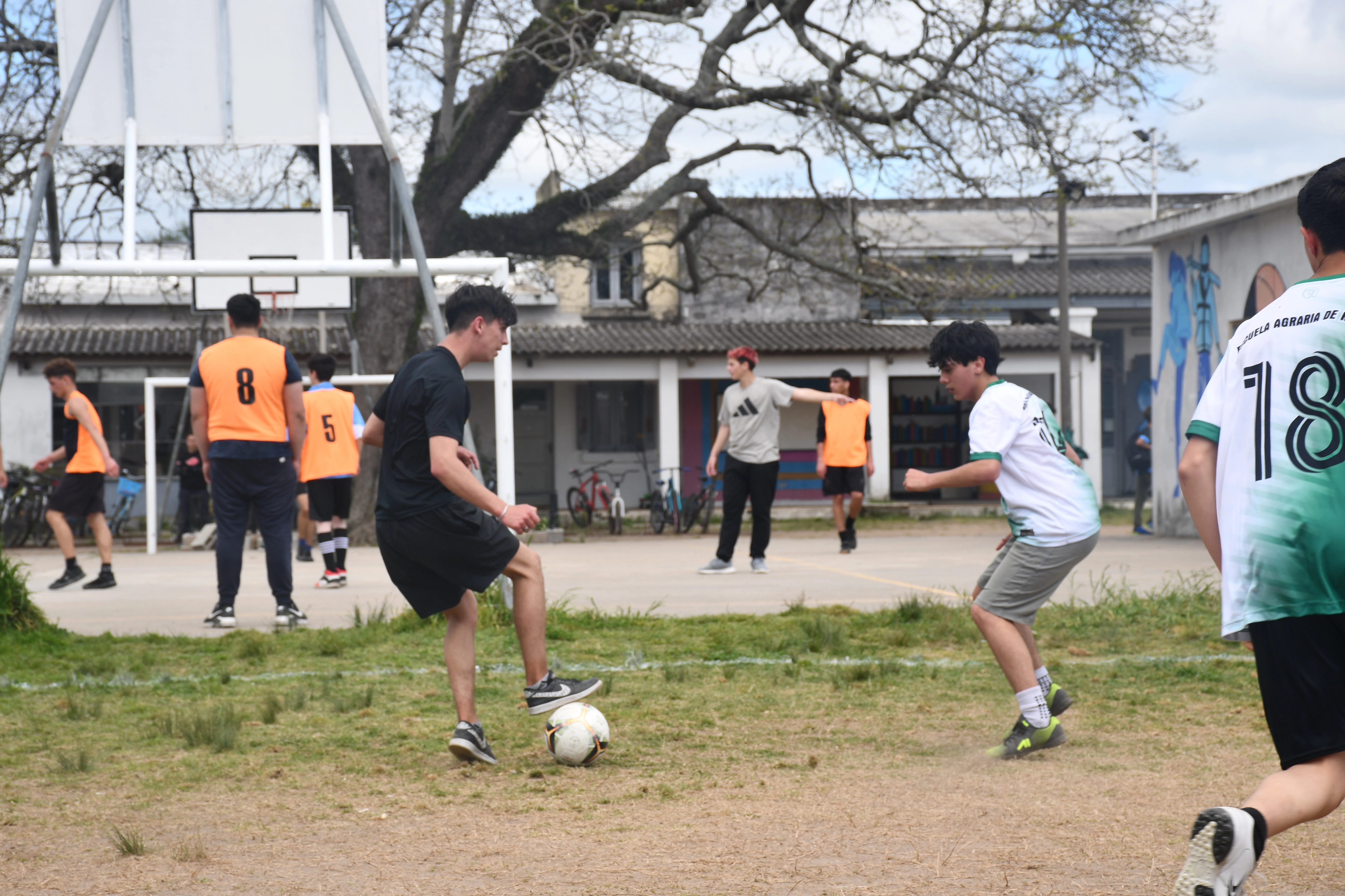 Grupo de personas jugando baloncesto y fútbol, ilustrando deportes y recreación.